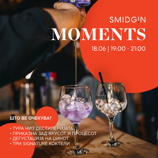 SMIDG!N MOMENTS